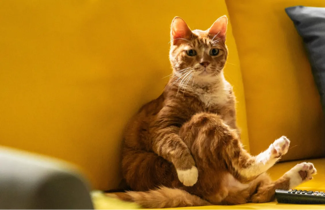 좀비딸 신기록, 조정석 좀비딸 1위, 조정석 영화, 여름 흥행 불패, 한국 코미디 영화, 박스오피스 1위, 좀비딸 후기, 좀비딸 평점, 조정석 코미디, 2025 영화 흥행, 천만 영화 후보, 좀비딸 박스오피스, 좀비딸 개봉 첫날, 한국 영화 최고 오프닝, 여름 영화 추천