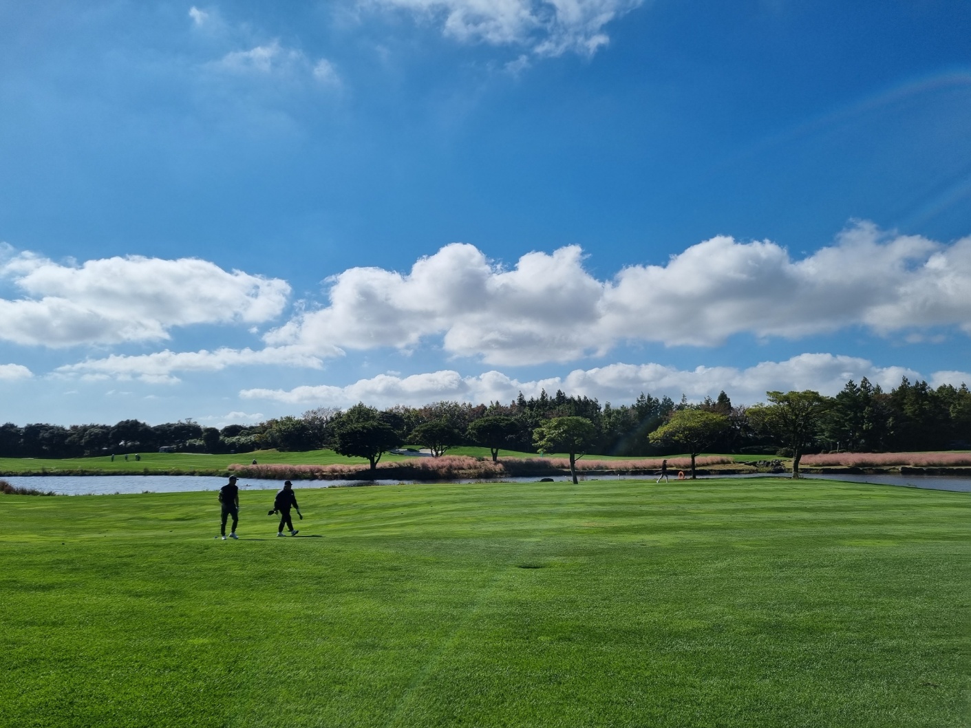 엘리시안 제주 CC