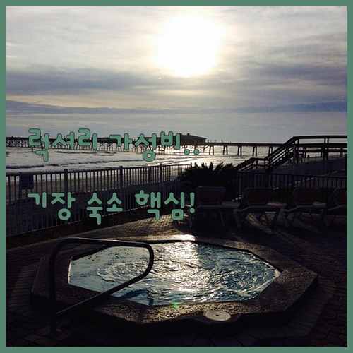 부산 기장 송정 숙소 5곳 럭셔리 오..
