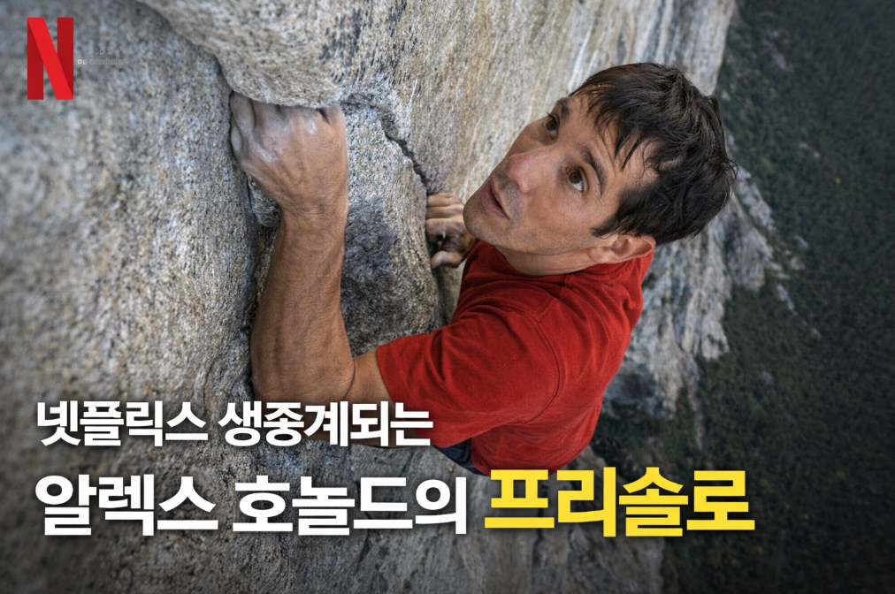 넷플릭스 생중계, 알렉스 호놀드 프리솔로 실시간으로 본다
