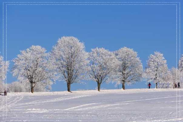 동백패스 환급금