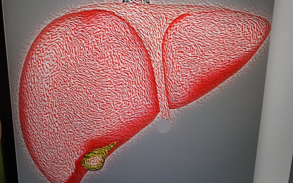간을-자세하게-표현한-그림