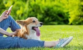 잔듸밭에 보호자와함께 앉아있는 모습