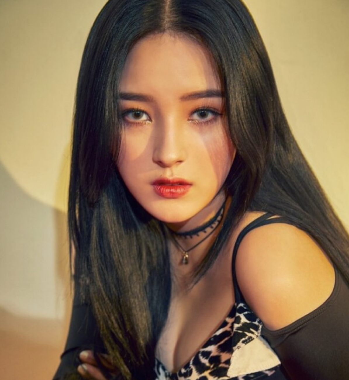 낸시 프로필