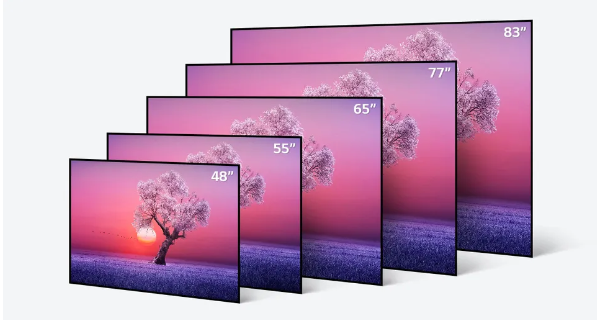 LG C1 OLED TV 크기