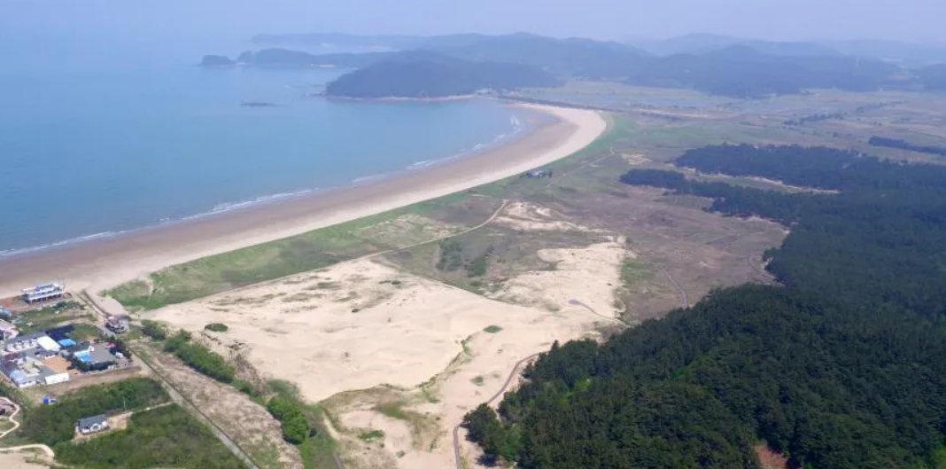 태안 신두리 해안사구