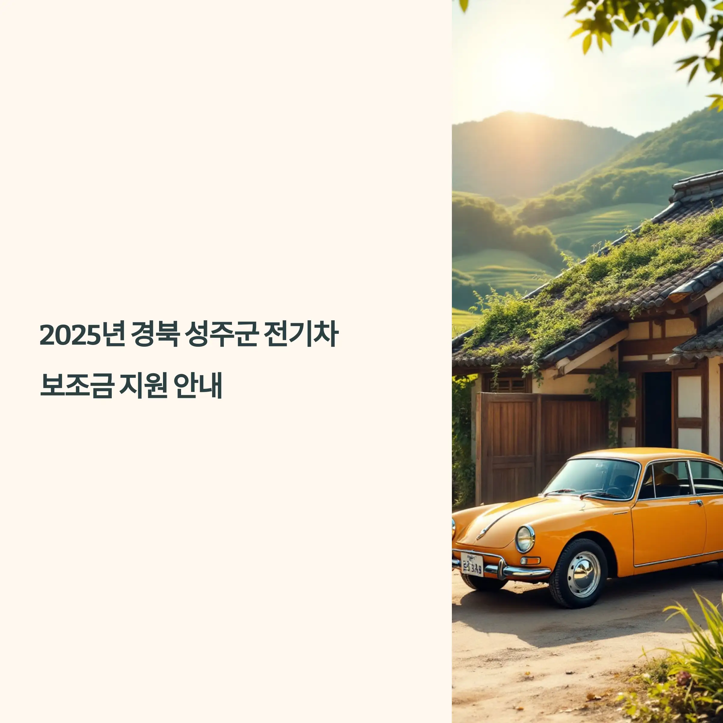 2025년 경북 성주군 전기차 보조금 지원 테슬라