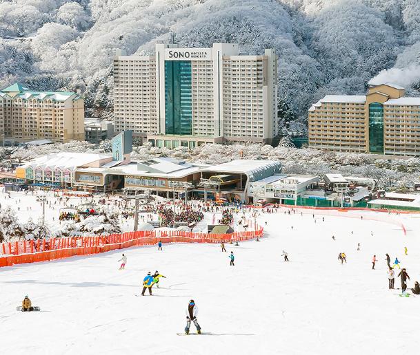 설날 연휴 국내여행 스키장 리조트 예약 방법