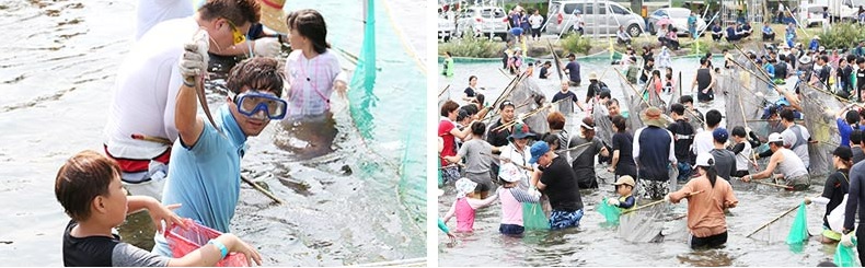 장흥물축제