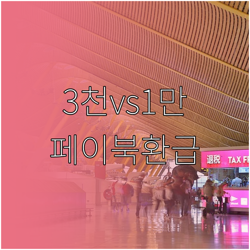 페이북 환급 금액 성인 3천원 어린이..