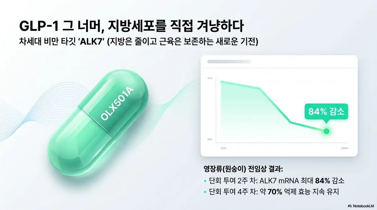 올릭스 주가 전망: OLX501A 캡슐과 우하향 그래프에 84% 감소가 표시된 인포그래픽. 올릭스의 차세대 비만 타깃 ALK7 후보물질이 영장류 전임상에서 단회 투여 2주 차 ALK7 mRNA 최대 84% 감소&amp;#44; 4주 차 약 70% 억제 효능 지속을 보인 결과를 시각적으로 전달하며&amp;#44; 블로그의 올릭스 주가 전망 주제와 관련된 내용을 설명한다. 