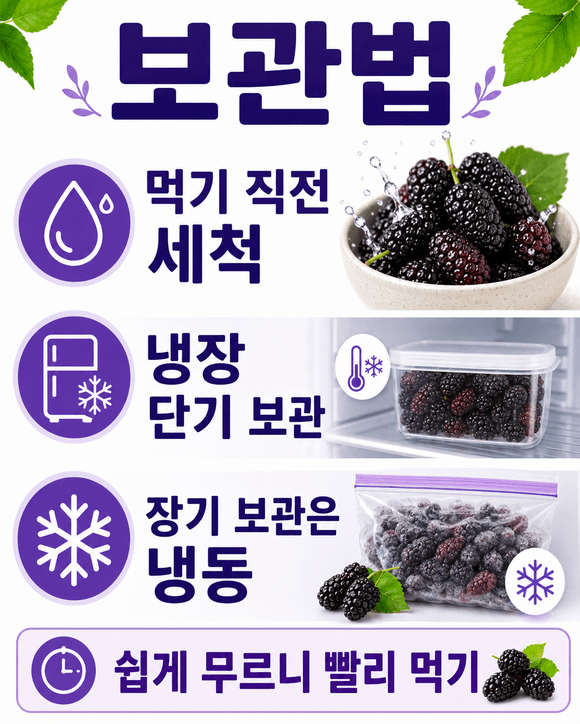 오디 효능