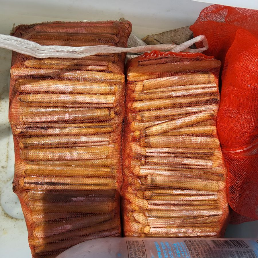 월하성 어촌체험마을