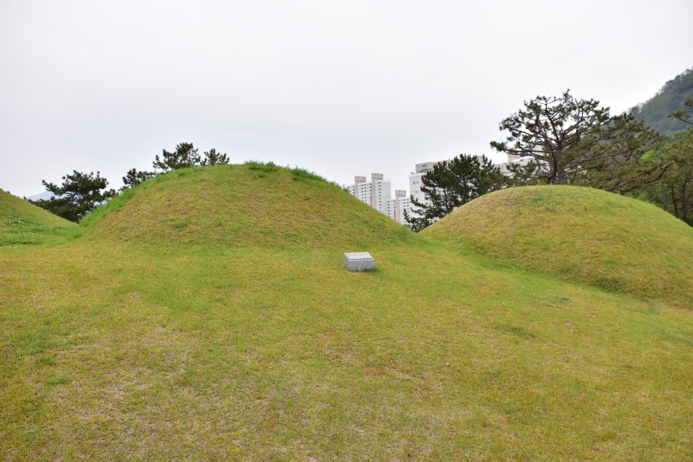 연산동 고분군 모습 2023년 4월