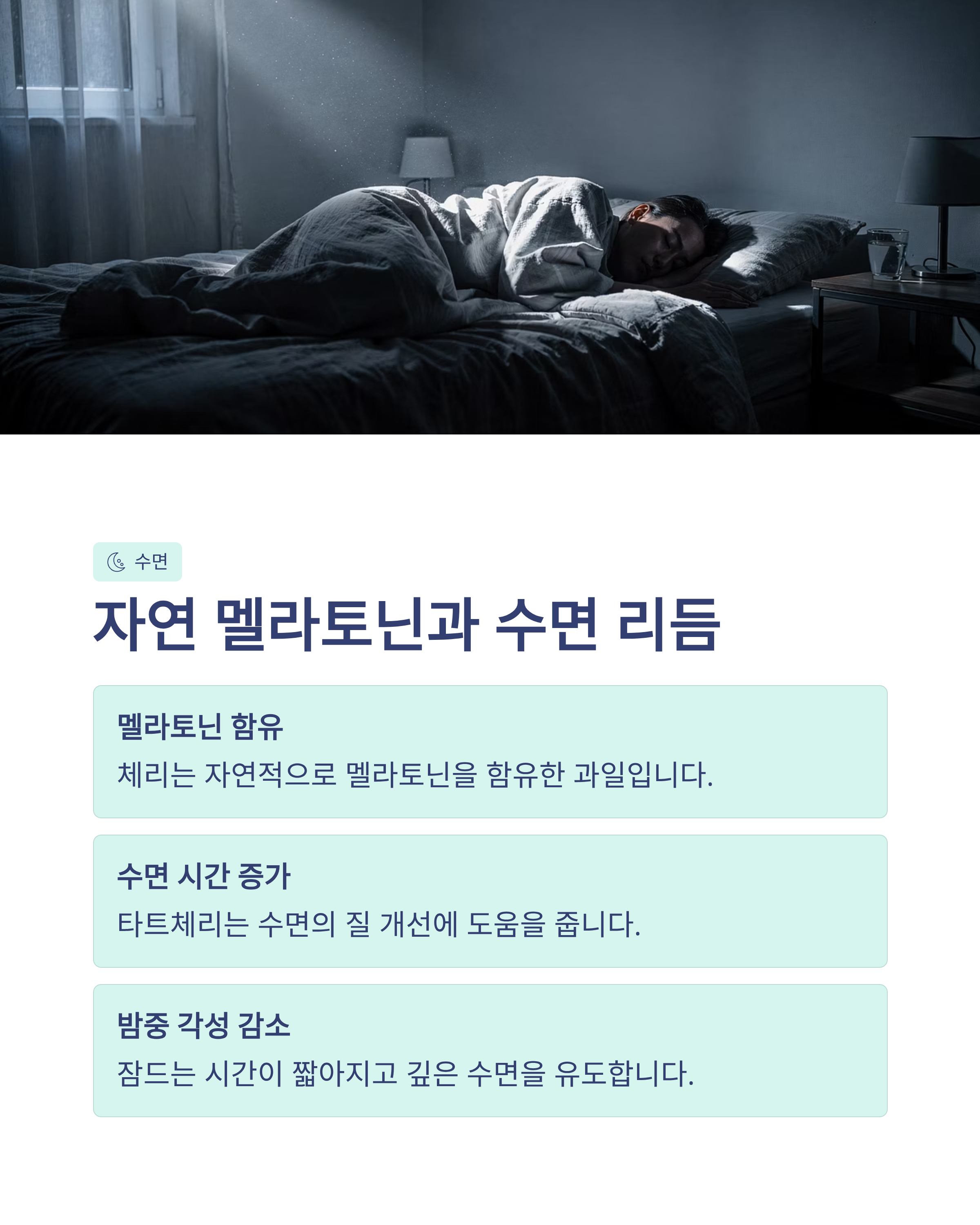 체리 효능 자연 멜라토닌
