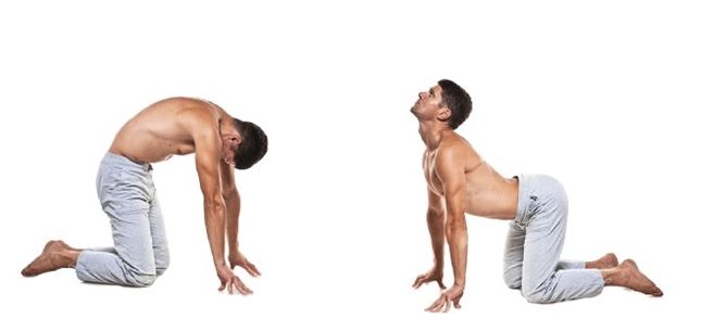 캣카우_스트레칭