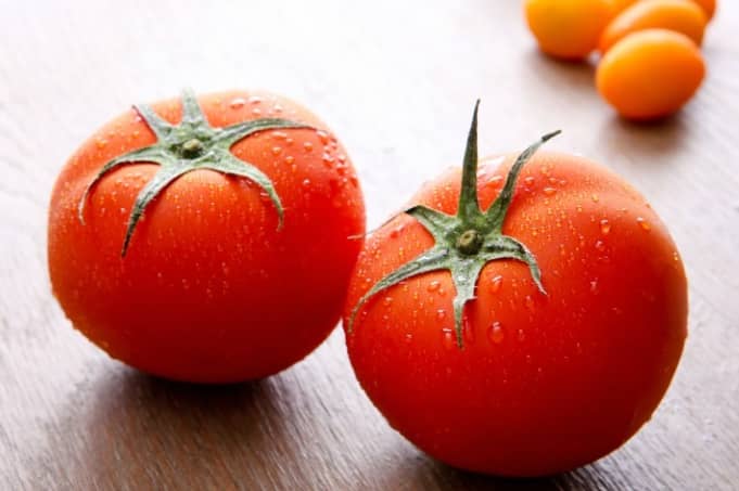토마토 사진