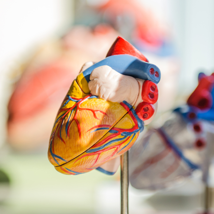 심장이 두근거리는 증상