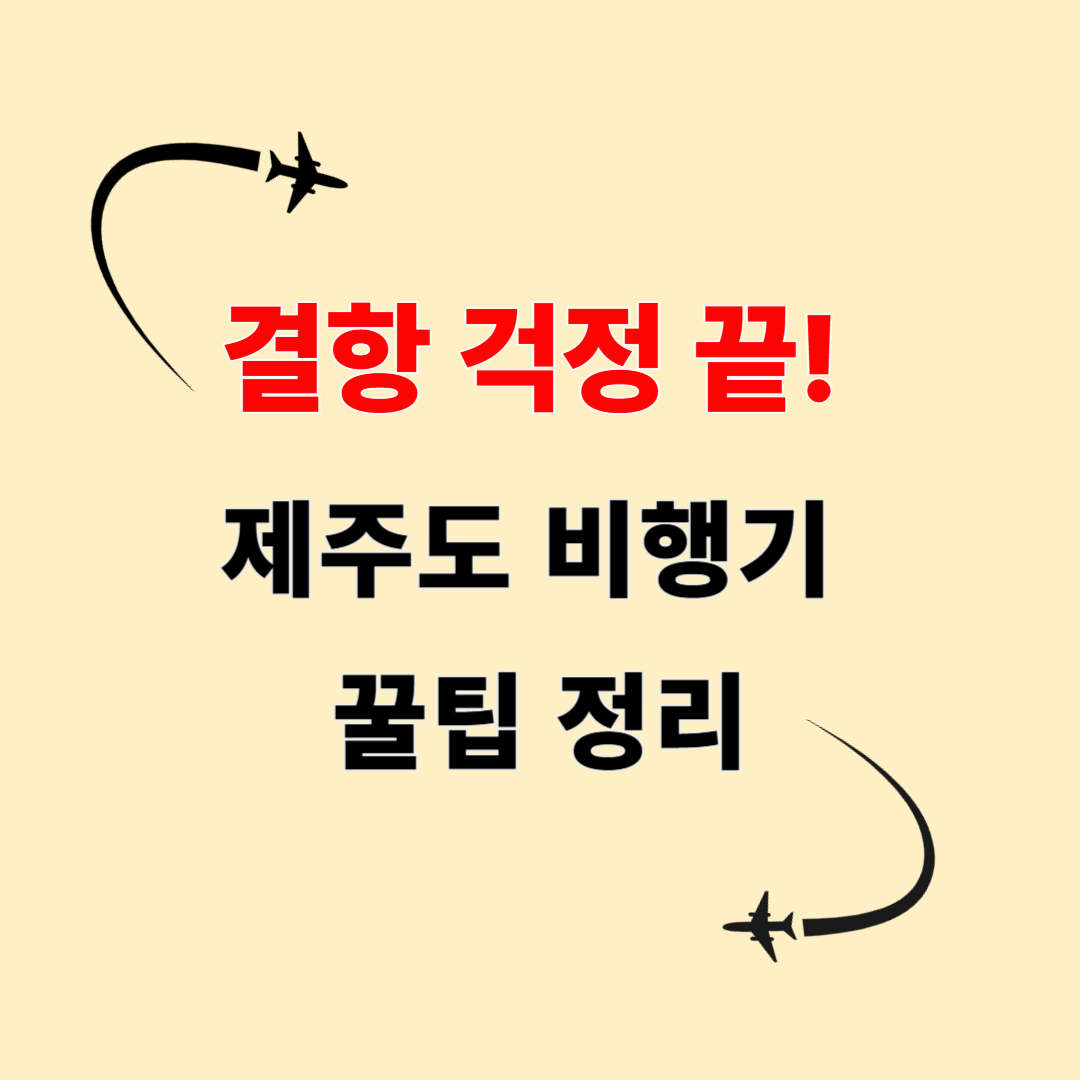 제주도 비행기 결항 관련