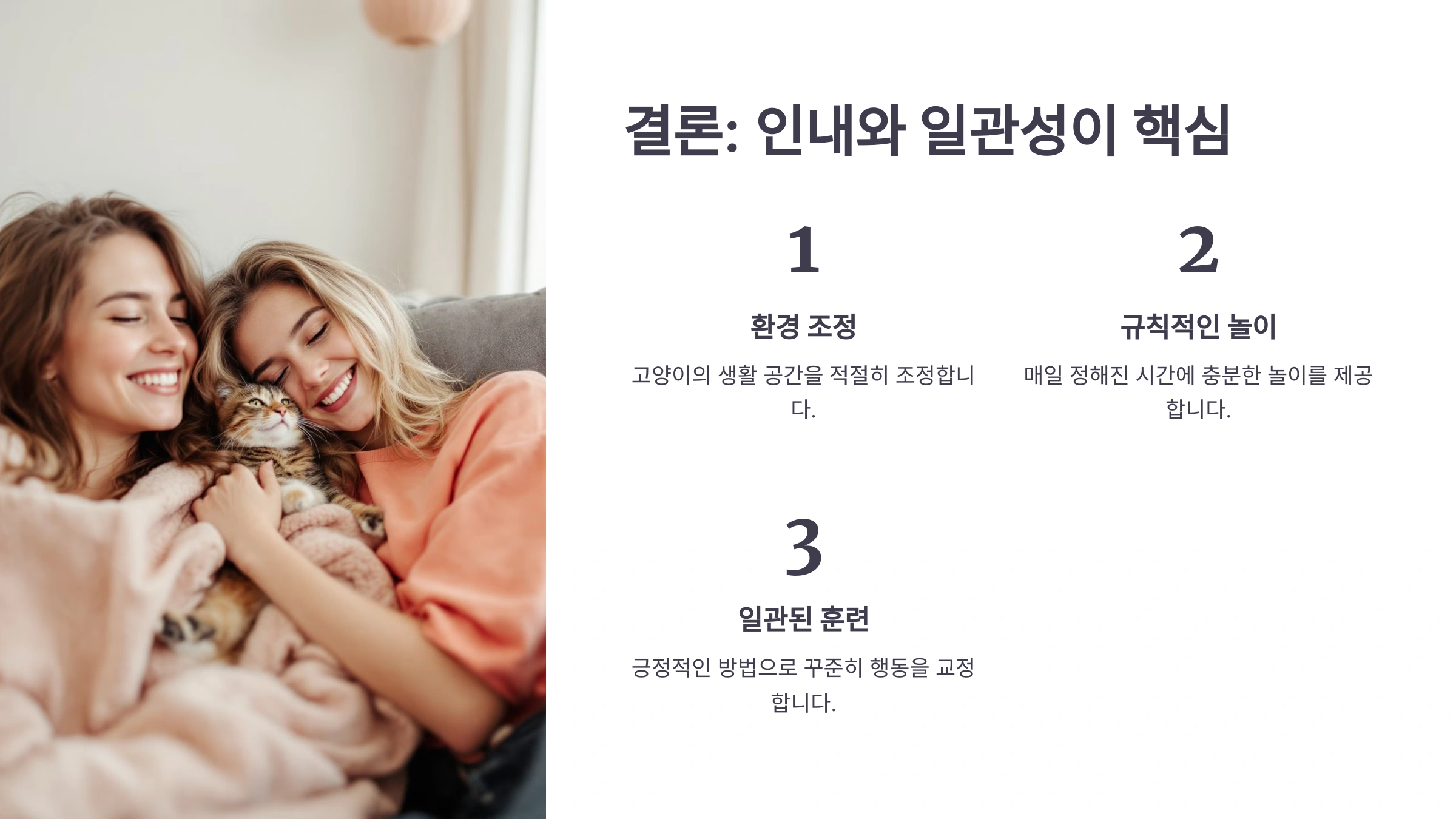 고양이의 야행성 본능 이해하기