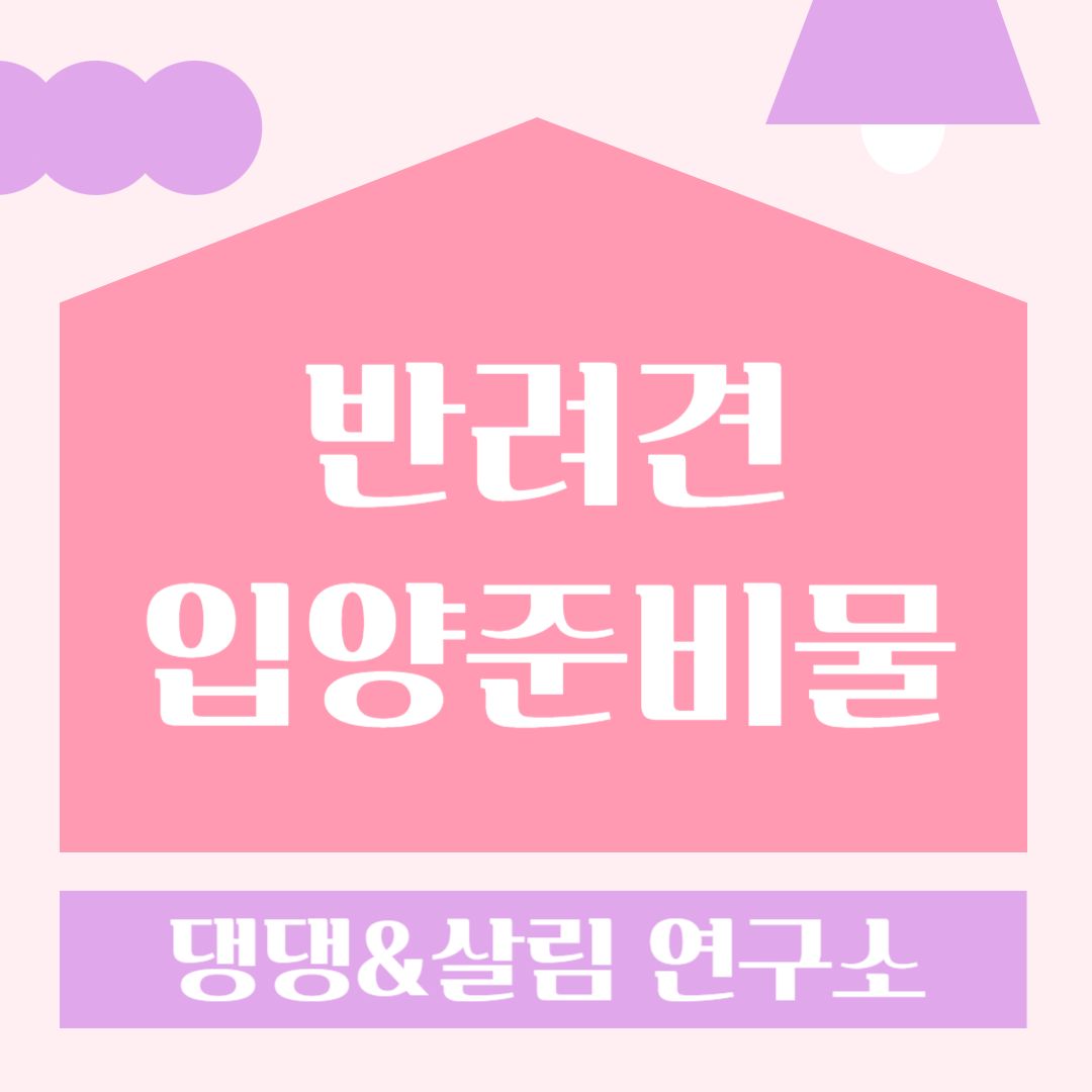 반려견입양준비물