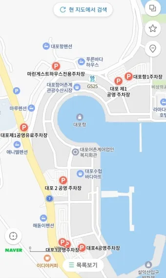 대포항 회센터 맛집 회거리 산책 주차 바다뷰 카페까지_21