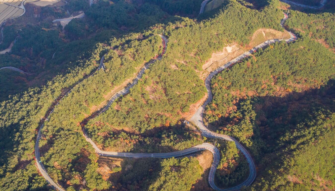 울진대게축제 일정 행사정보 울진여행
