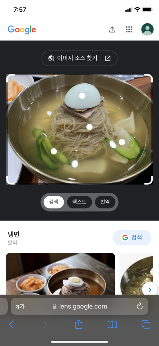 아이폰 구글 이미지 검색하는 법 5