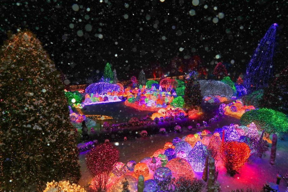 [겨울축제] 아침고요수목원 오색별빛정원전