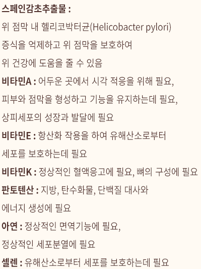 위톱 효능