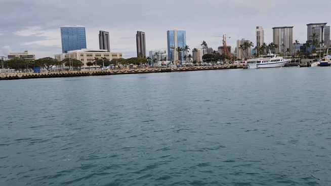 거북이스노쿨링바다