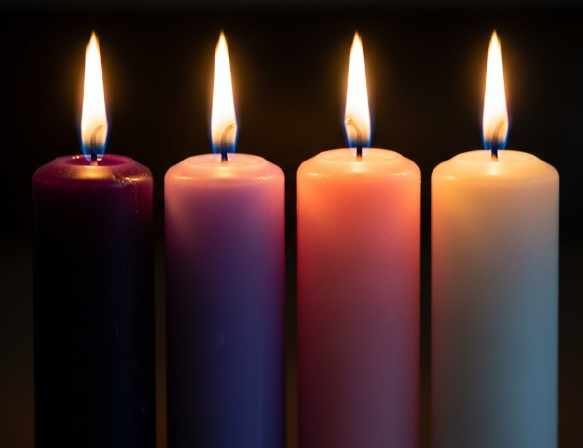 대림초의 색상과 마음의 정화