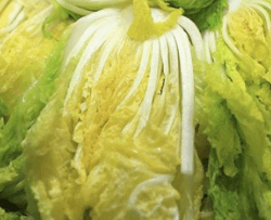 김장 배추 고르는 방법