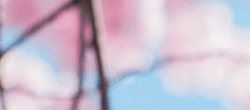 Tile 1