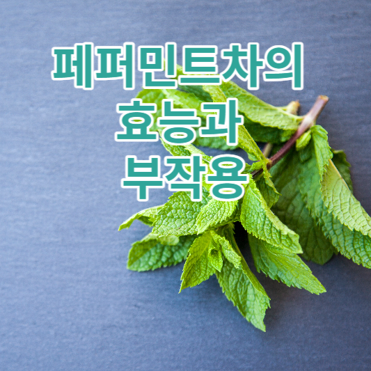 페퍼민트차의 효능과 부작용