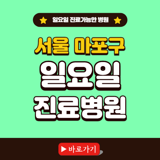 서울 마포구 일요일 진료 가능한 병원 ❘ 주말 문여는 곳 총정리 (소아과, 내과, 안과, 치과, 피부과, 정형외과, 산부인과)