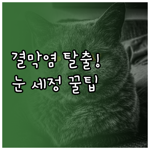 황사철 결막염 증상 완화하는 냉찜질과..