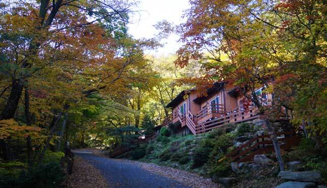 숲나들e 예약 방법부터 추천 캠핑장까지! 2025년 완전정리