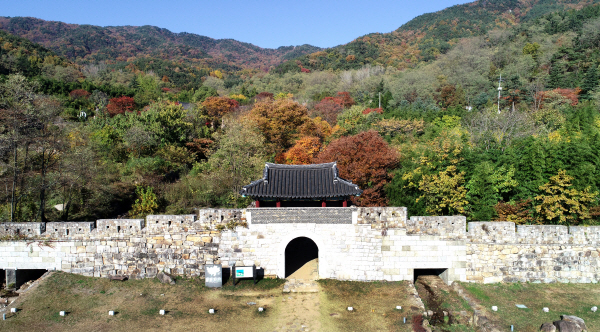칠곡 동네별 세부 분석 – 칠곡은 하나의 도시처럼 보이지만 실제로는 여러 개의 생활권이 공존하는 지역이다