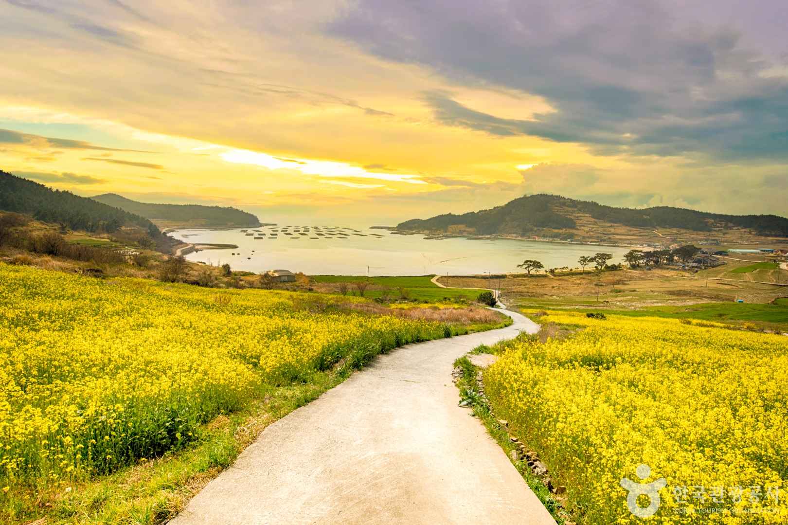 완도 청산도 여행