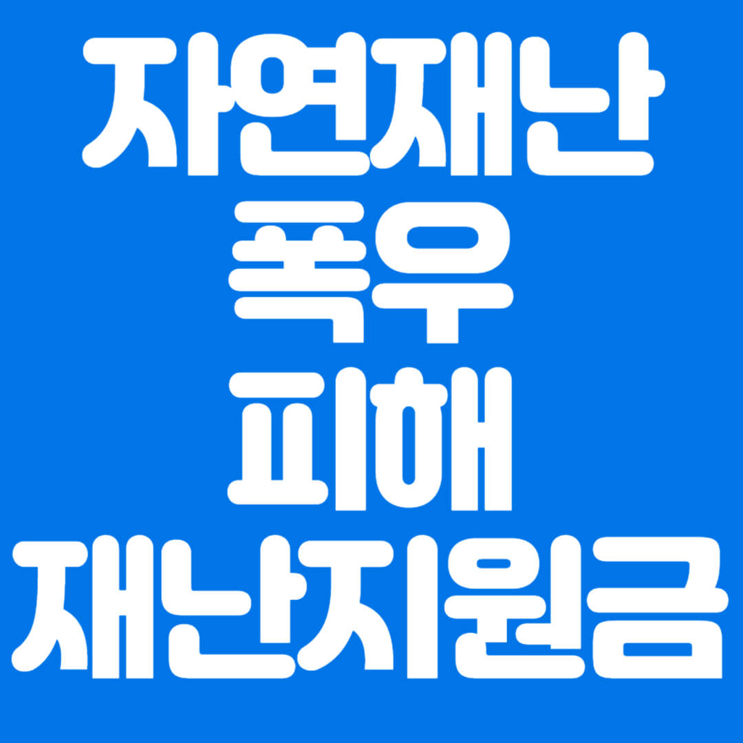 자연재난 폭우 피해 재난지원금 신청