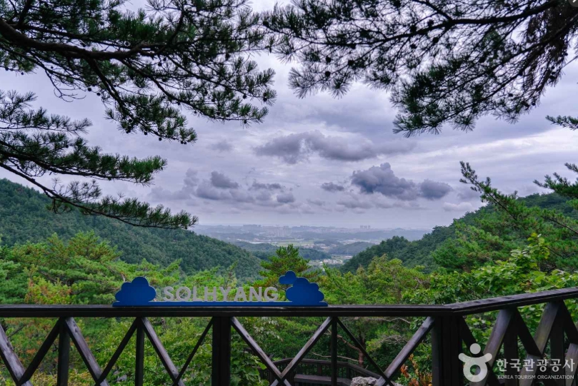 강릉솔향수목원01