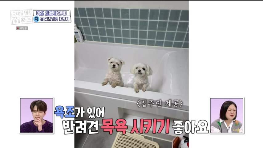 구해줘홈즈 1층집 바이브 동물병원 인접 남양주 다산동 전세 매매 매물 가격 및 구조 인테리어 리모델링 최종선택 강재준 양세찬 소개