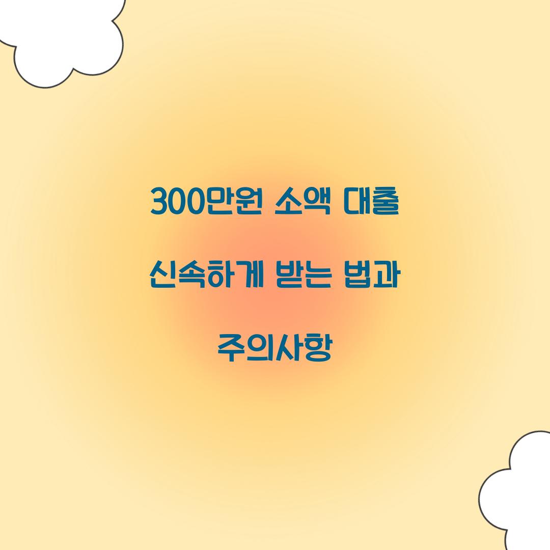 300만원 소액 대출