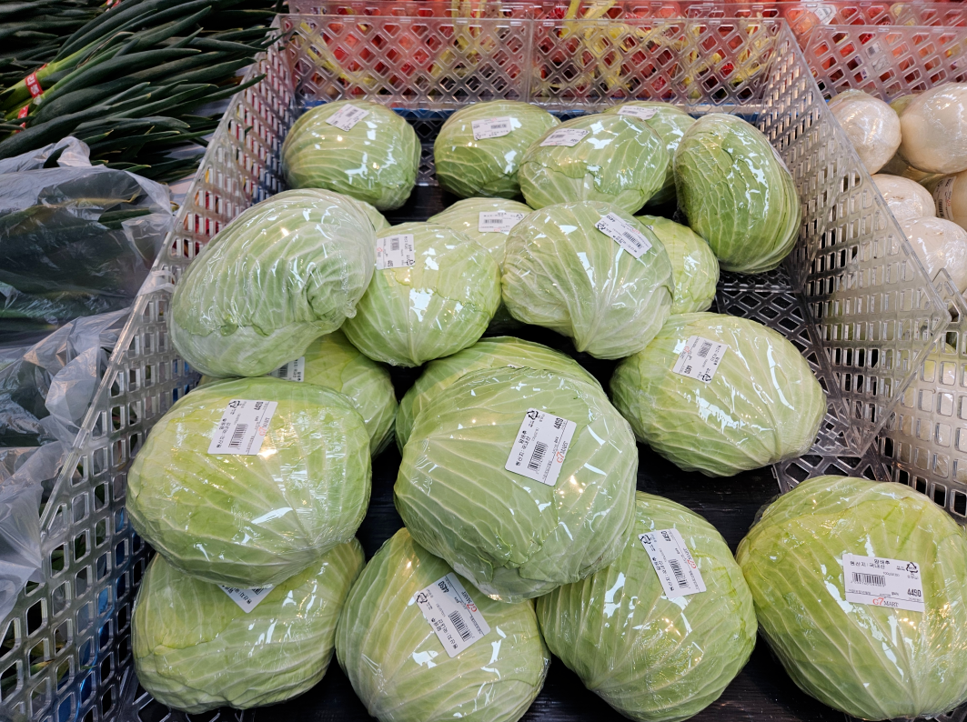 채소값 상승 속에서도 소비자들이 체감하는 양배추 가격 인상을 보여주는 마트 진열대