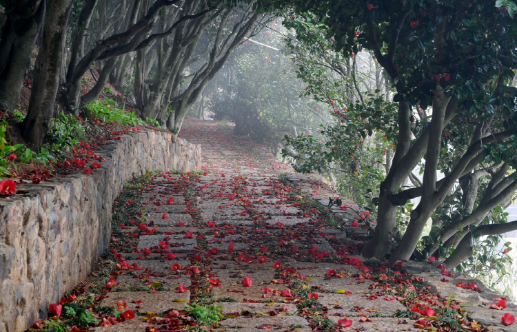 장사도 해상공원