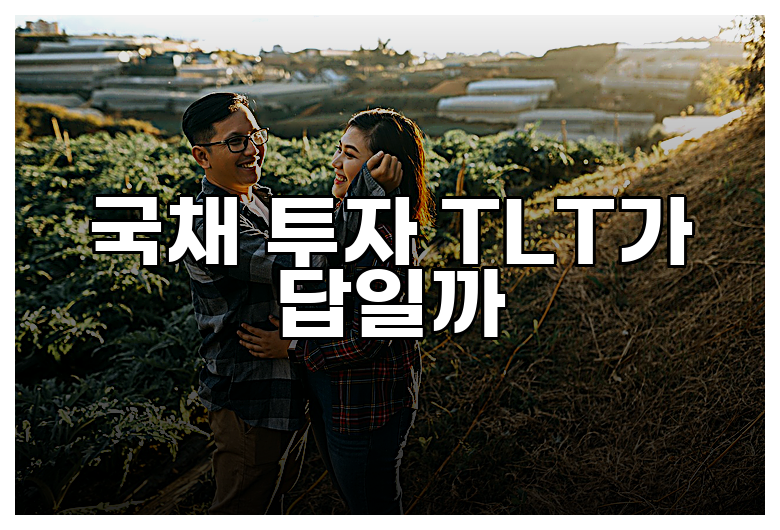 국채 투자 TLT가 답일까