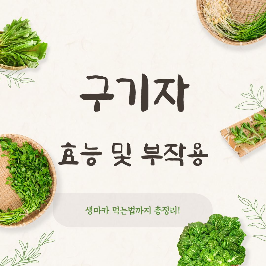 구기자 효능 부작용