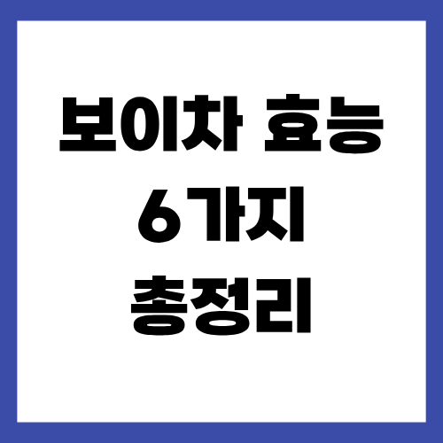 보이차 효능 6가지 총정리