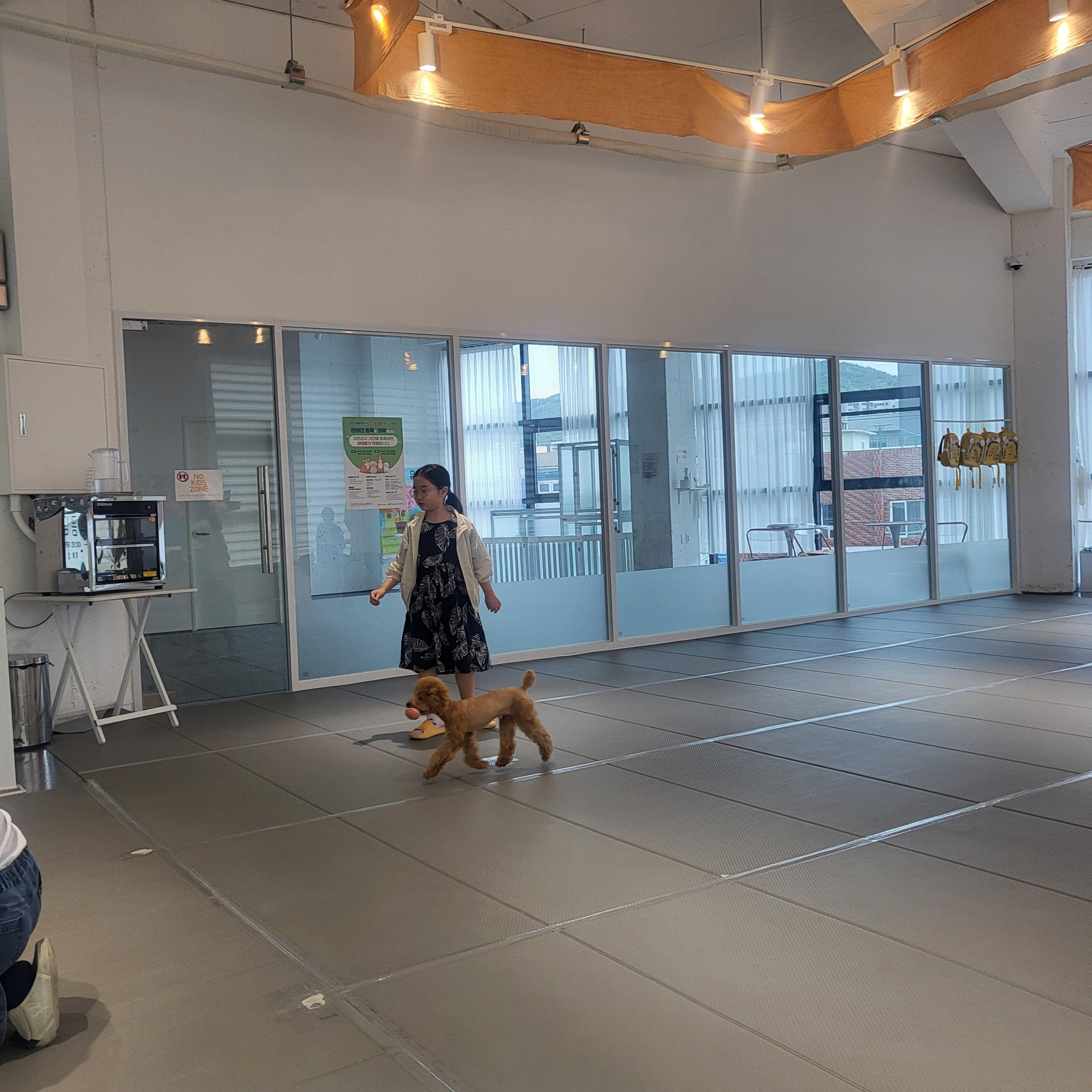 울산 애견 카페(딩동댕 애견카페)